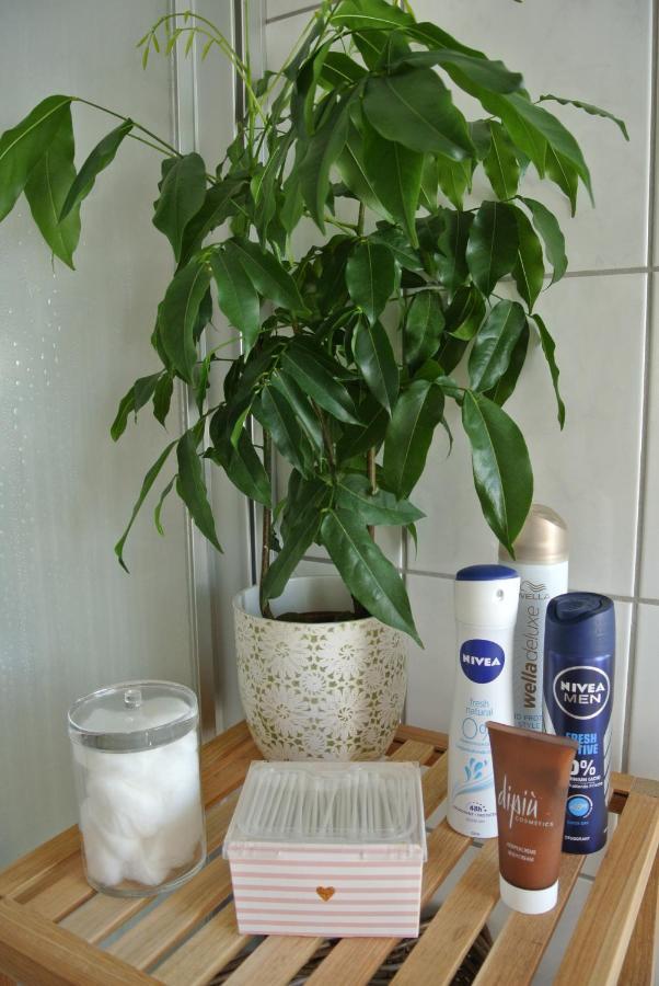 Rheinau Apartment エクステリア 写真